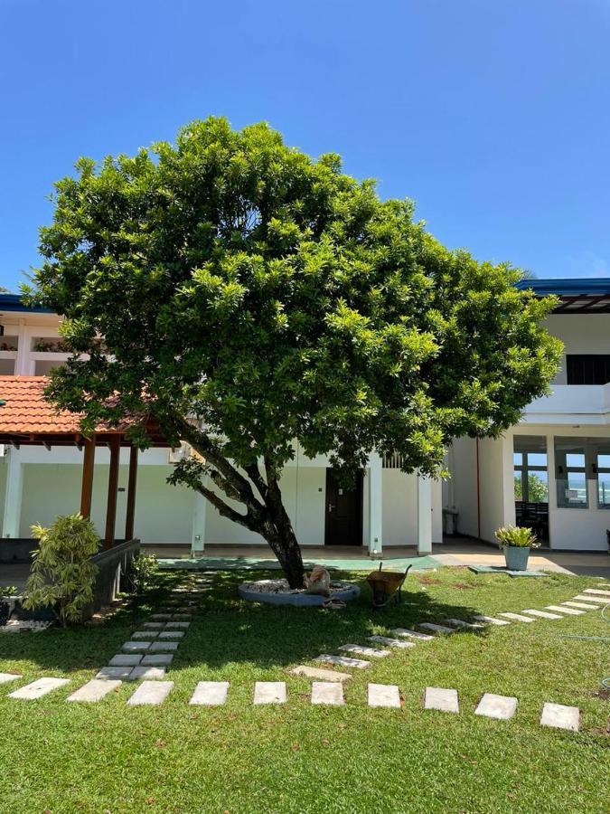 Pink Land Hotel Beruwala Bagian luar foto